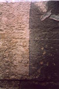 tivoli_tempio_sibilla