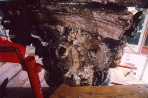 Capitello_corinzio_gavioli